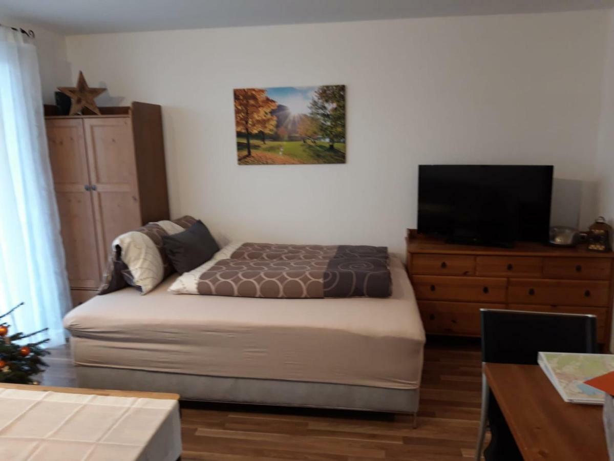 Apartment Kendlbacher Τσελ αμ Ζέε Εξωτερικό φωτογραφία